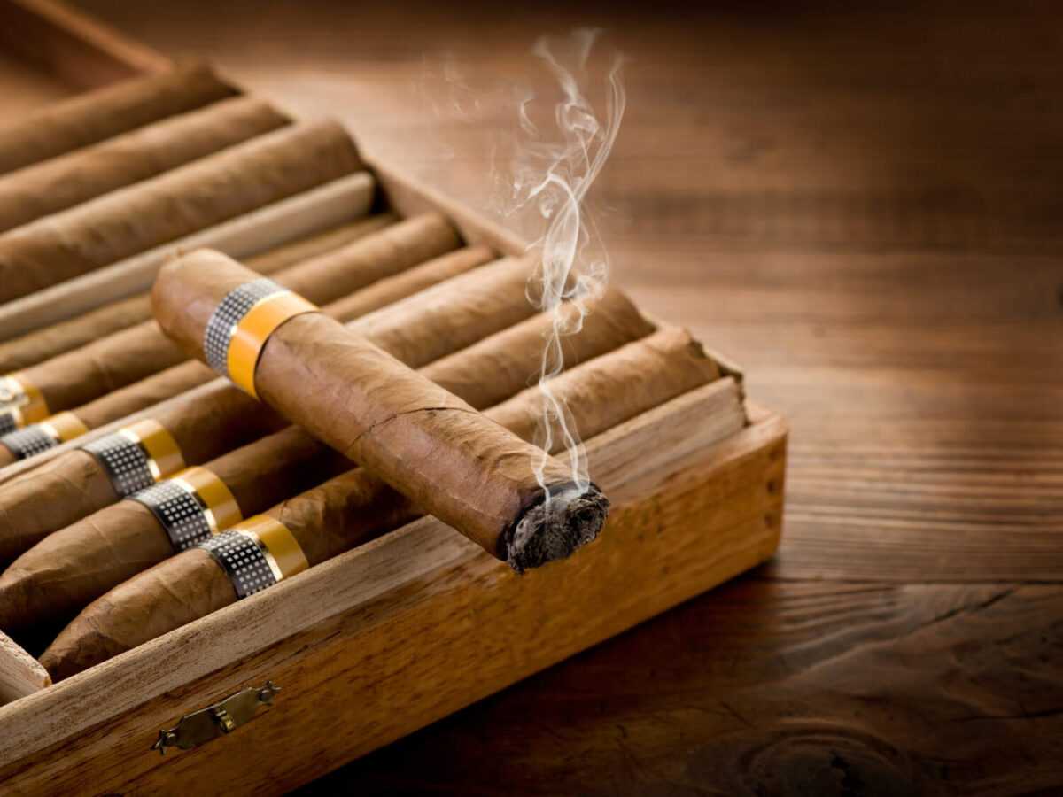 How to choose a cigar